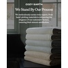 image:imageCozy Earth Nantucket 60 Cotton 40 Viscose from Bamboo Bath Sheet  600 GSM Plush amp FastDrying with Rice Weave Pattern  2 Pack 40 x 65 Luxury Bath Sheet  Light GreyHeathered Light Grey