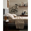 image:imageCozy Earth SoftWash Cotton Sheet Set Cotton BeddingDriftwood